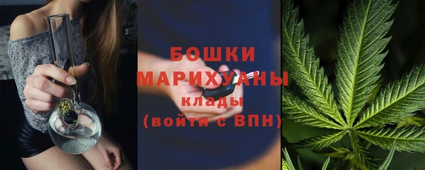 гашик Новозыбков