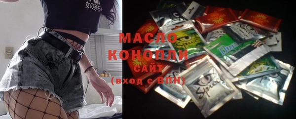 гашик Новозыбков