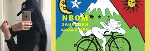 гашик Новозыбков