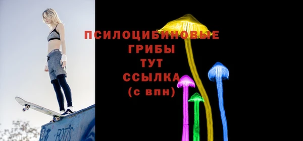 spice Новодвинск
