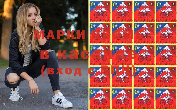 гашик Новозыбков