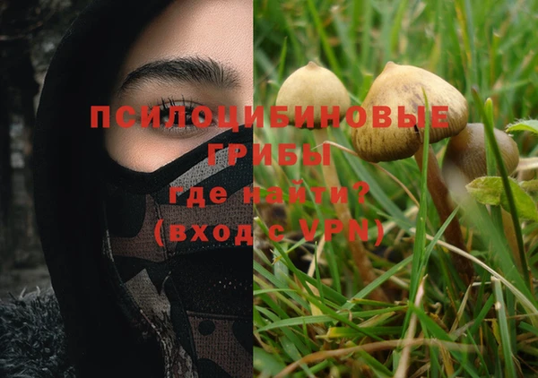 гашик Новозыбков