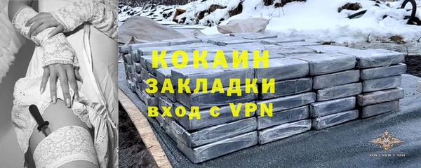 гашик Новозыбков