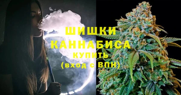 spice Новодвинск