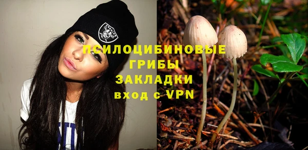 гашик Новозыбков