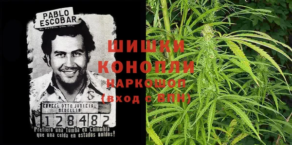 гашик Новозыбков