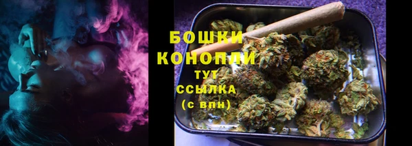 spice Новодвинск